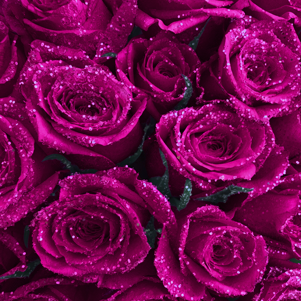 Long Lasting Glitter Rose Box | Fuchsia