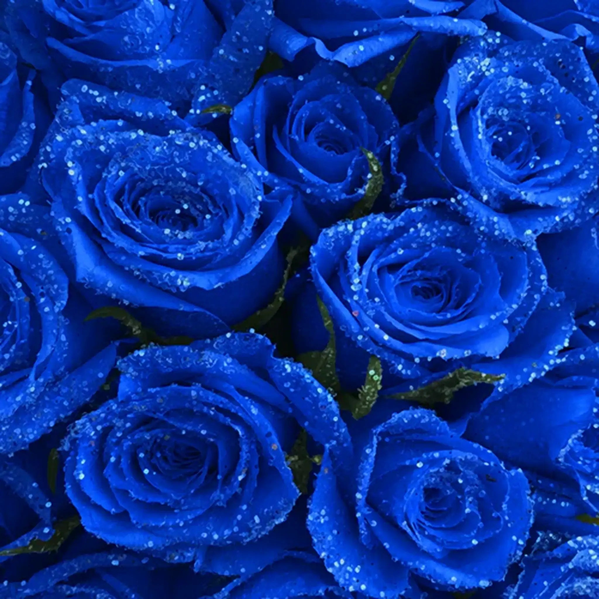 Fresh Glitter Rose Bouquet | Royal Blue
