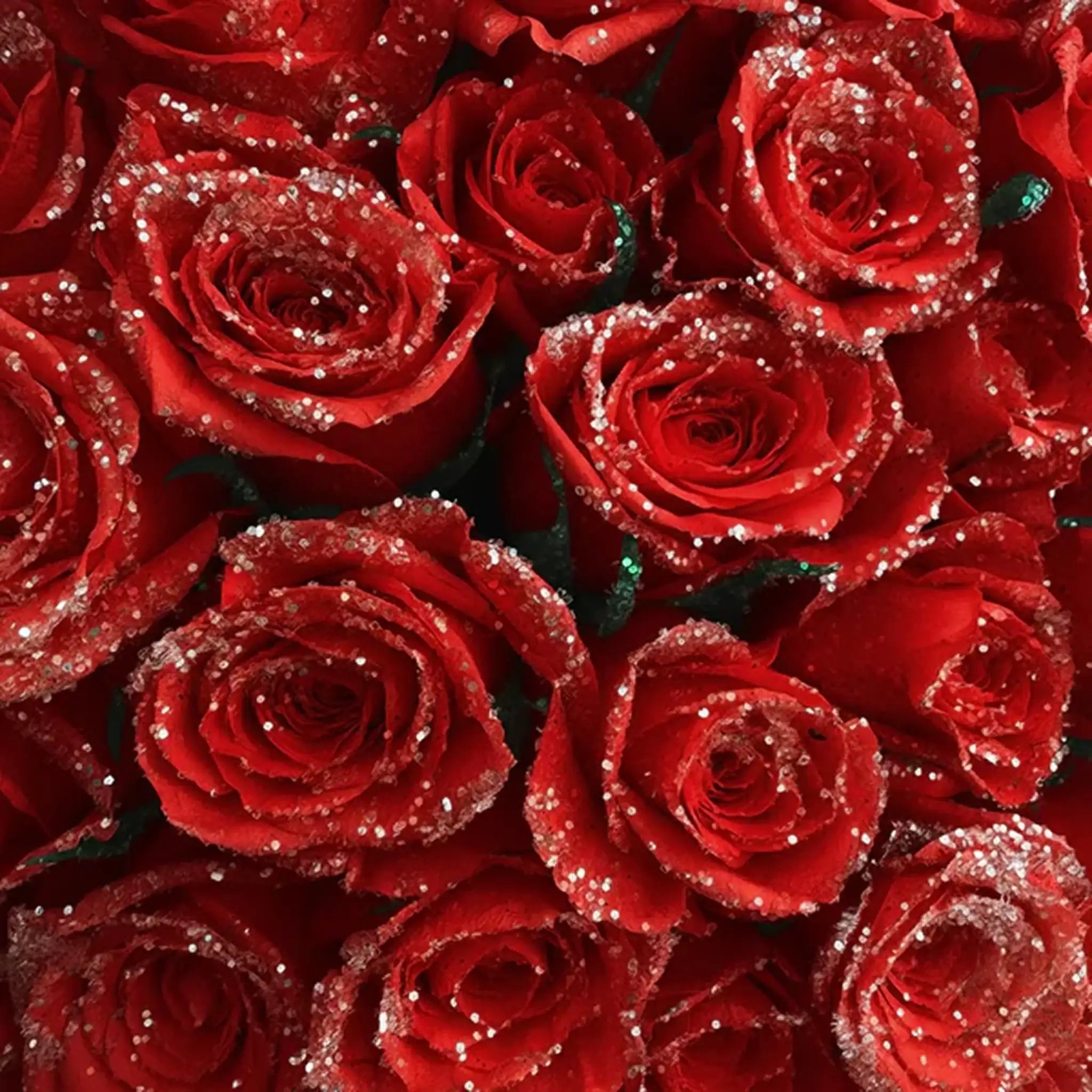 Fresh Glitter Rose Bouquet | Red
