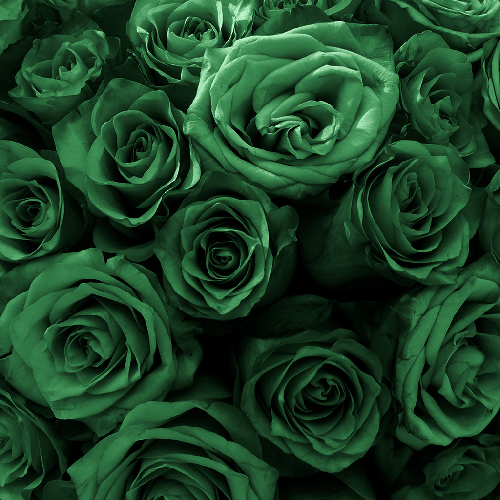 Fresh Rose Box | Emerald Green
