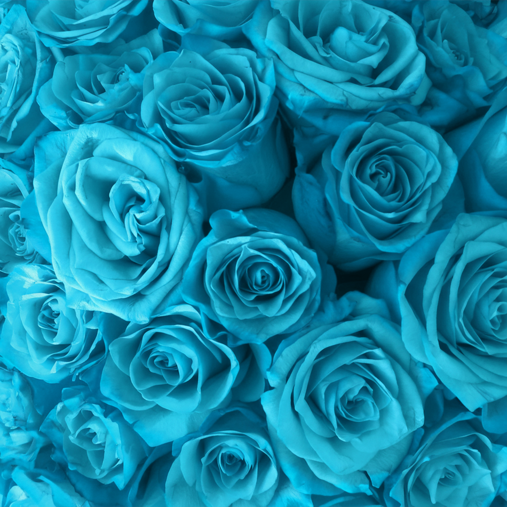 Heart Rose Box | Sky Blue