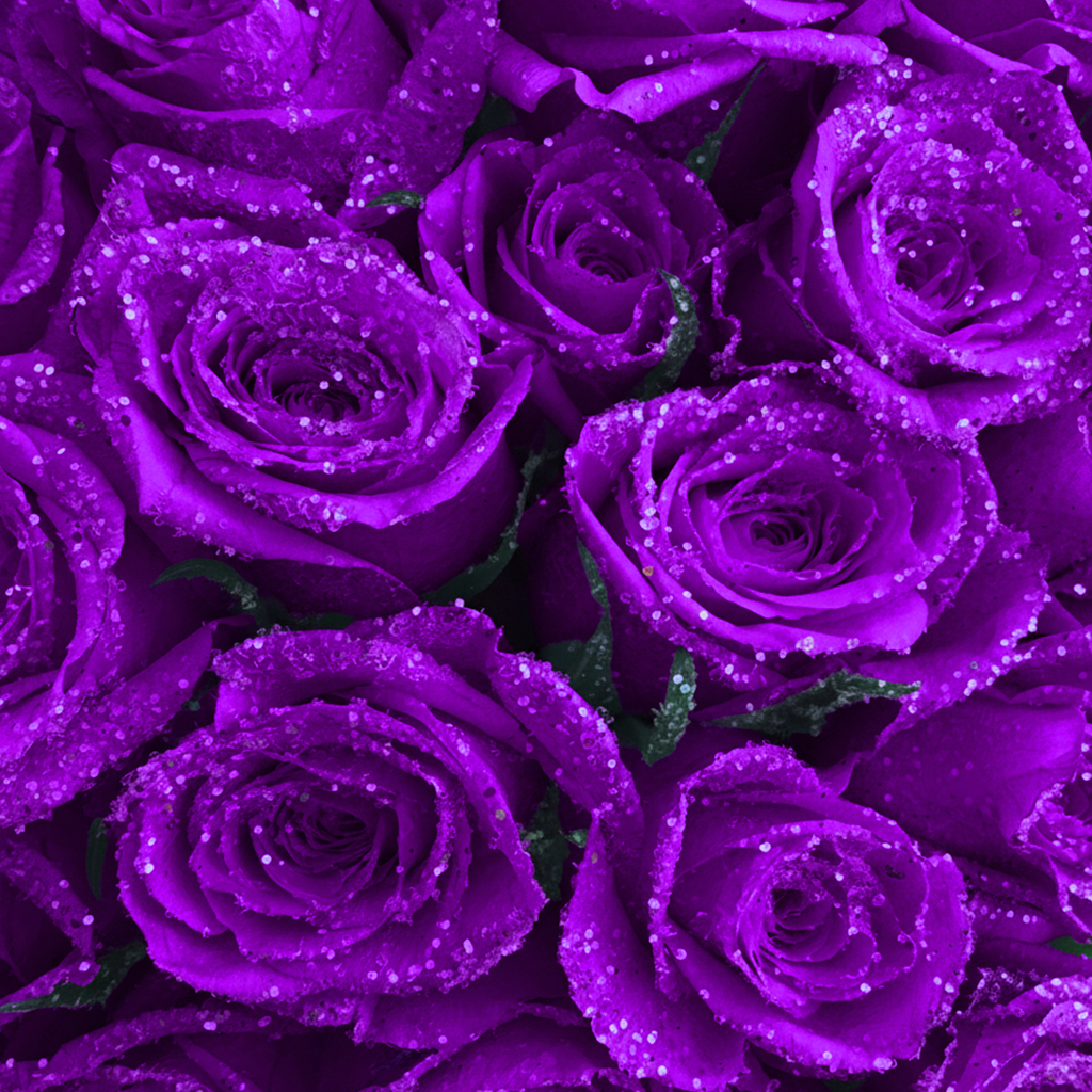 Fresh Glitter Rose Bouquet | Purple
